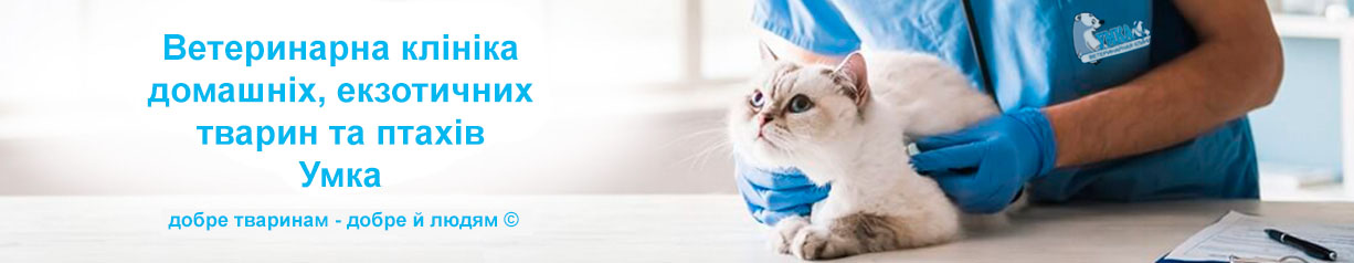 Лучшая ветеринарная клиника Киев